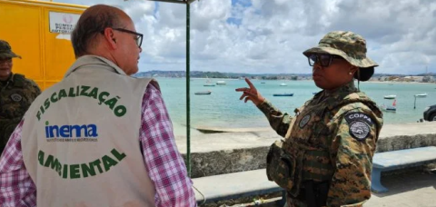Inema investiga descarte irregular de arraias na Marina do Bonfim Inema investiga descarte irregular de arraias na Marina do Bonfim